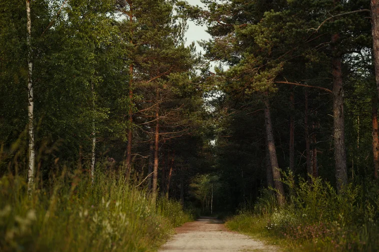 Jonot eivät purkaudu nopeasti